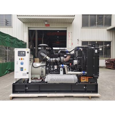 300kW 375KVA Water Cooled Generator Diesel Electrostatic Generator Price Portable Silent or Open Type Electric Diesel Generators