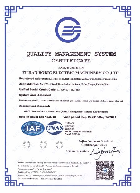 China FUJIAN BOBIG ELECTRIC MACHINERY CO.,LTD certificaciones